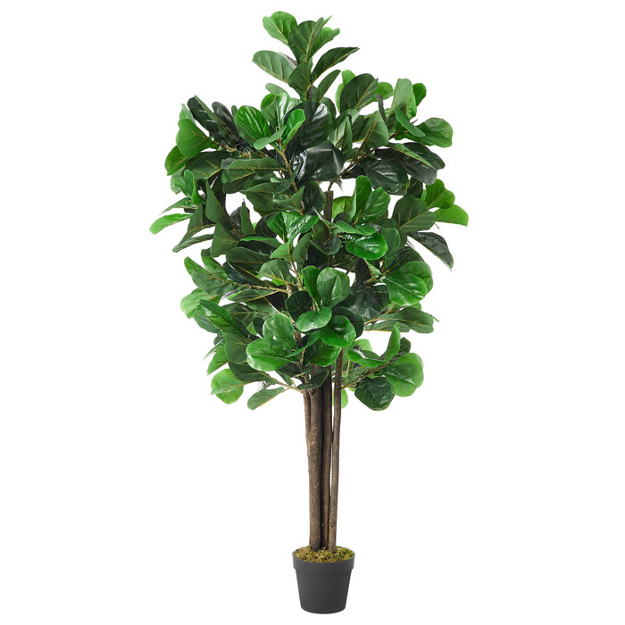 Sand & Stable Faux Fiddle Leaf Fig Tree in Pot & Reviews Wayfair